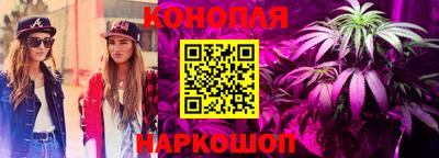 прущая мука Шахты
